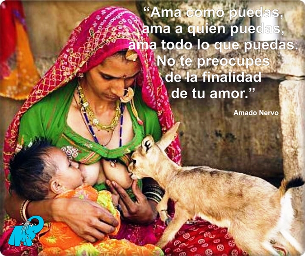 Ama como puedas, ama a quien puedas, ama todo lo que puedas. No te preocupes de la finalidad de tu amor.