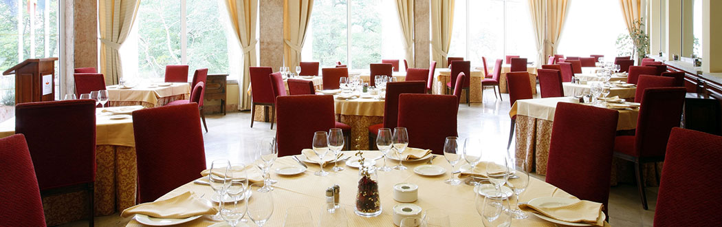 Panorámica del Salón de Eventos del Hotel Pelayo en el Directorio de Empresas del Elefante Azul de Avilés