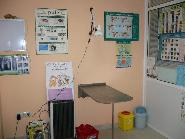 En la Clínica Veterinaria Versalles todo está pensado para que tu mascota se sienta como en casa.