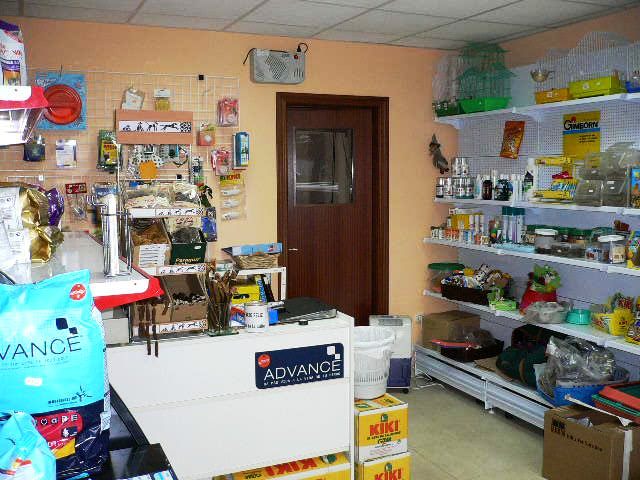 La Clínica Veterinaria Versalles cuenta con todo lo necesario para el mejor cuidado de tu mascota en Avilés