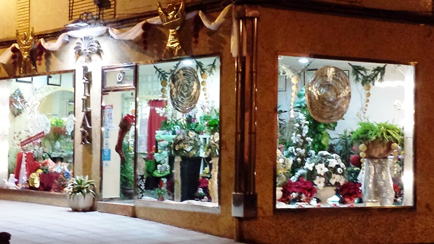 Imagen de la fachada de Flores Pilar en el directorio de los Centros de lavado de coches Elefante Azul de Avilés