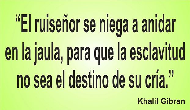Enseñanza de Khalil Gibran sobre la libertad en la frase del día de los Centros de lavado de coches Elefante Azul de Avilés