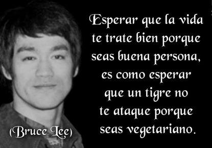 Una enseñanza de Bruce Lee en la frase del día de los Centros de lavado y detallado de coches Elefante Azul de Avilés 