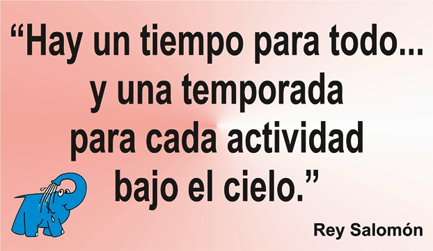 Una enseñanza del Rey Salomón en la frase del día de los Centros de lavado de coches Elefante Azul de Avilés