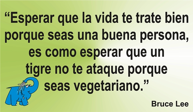 Una enseñanza de Bruce Lee en la frase del día de los Centros de lavado de coches Elefante Azul de Avilés