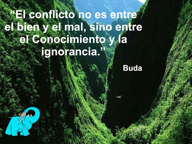 Una enseñanza de Buda en la frase del día de los Centros de lavado de coches Elefante Azul de Avilés