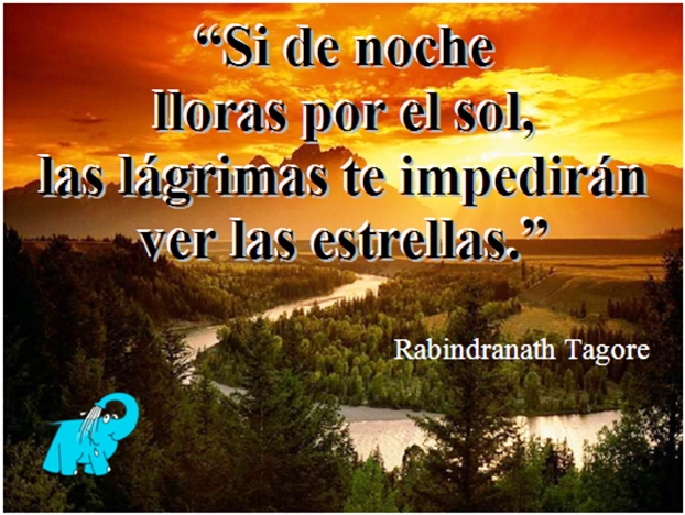 Una enseñanza de Rabindranath Tagore en la frase del día de los Centros de lavado de coches Elefante Azul de Avilés