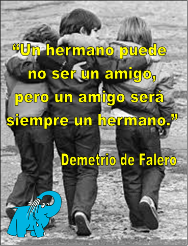 Demetrio de Falero en la frase de hoy en el sitio web de los Centros de lavado Elefante Azul de Avilés.