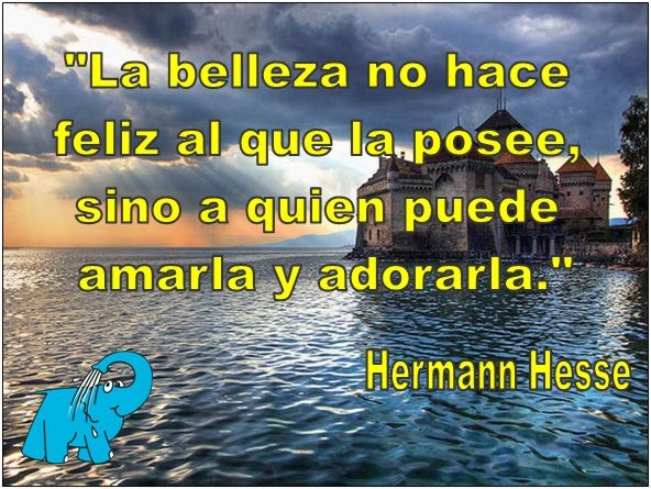 Hermann Hesse en la frase del día de los Centros de lavado Elefante Azul de Avilés.