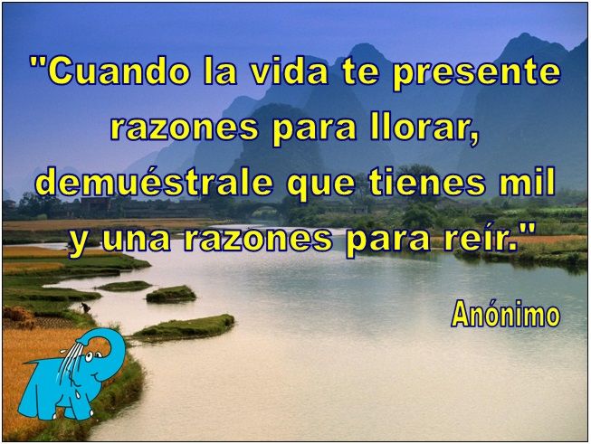 Una frase anónima en la frase del día de los Centros de lavado Elefante Azul de Avilés.