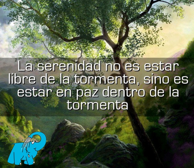 La Serenidad en la frase del día del Centro de lavado de coches Elefante Azul de Avilés