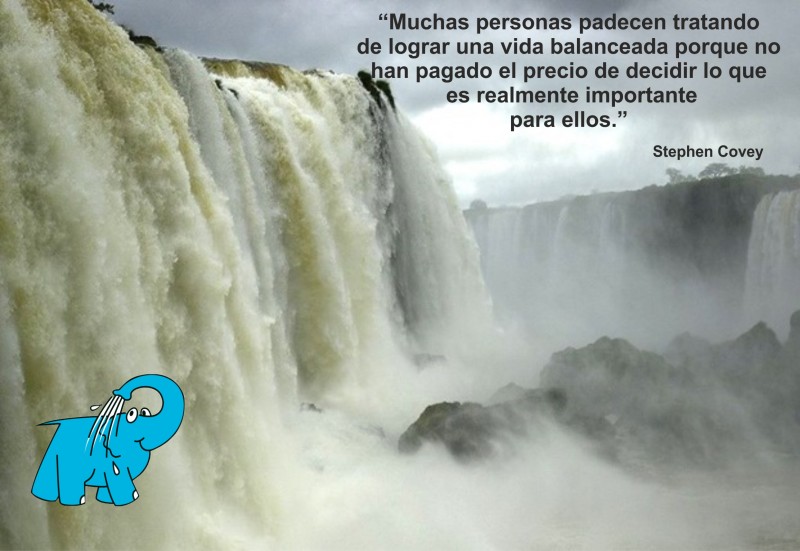 Una enseñanza de Stephen Covey en la frase del día del Centro de lavado de coches Elefante Azul de Avilés