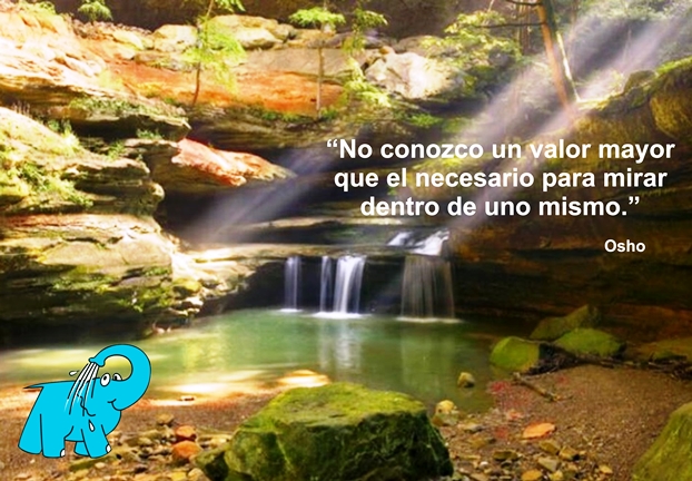 Una enseñanza de Osho en la frase del día del Centro de lavado de coches Elefante Azul de Avilés