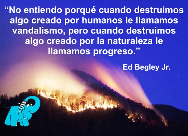 Una enseñanza de Ed Begley Jr. en la frase del día del Centro de lavado de coches Elefante Azul de Avilés