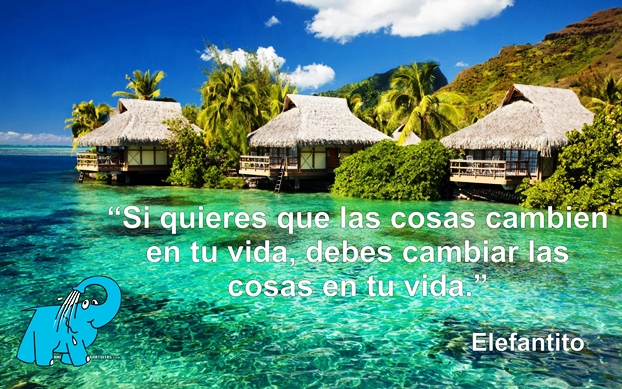 Una buena enseñanza en la frase del día del Elefante Azul de Avilés