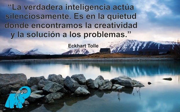 Una enseñanza de Eckhart Tolle en la frase del día del Elefante Azul de Avilés