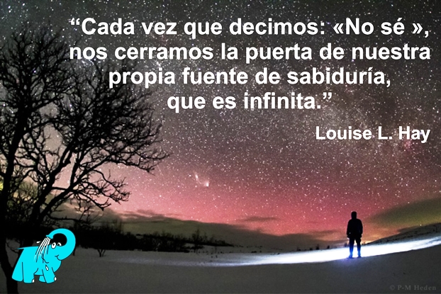 Cada vez que decimos no se, nos cerramos la puerta de nuestra propia fuente de sabiduría, que es infinita.