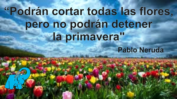 Una enseñanza de Pablo Neruda en la frase del día del Elefante Azul de Avilés