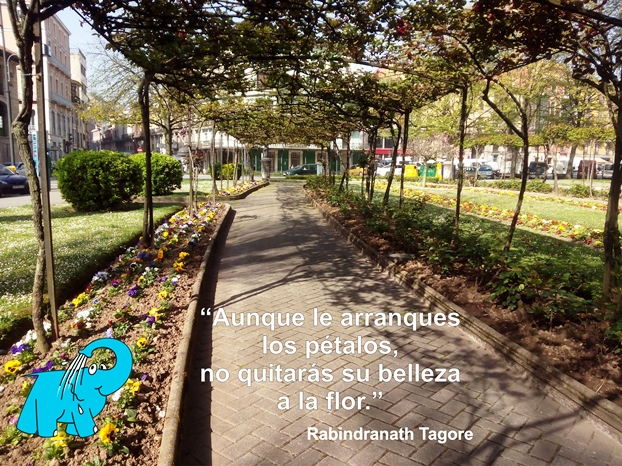 Una enseñanza de Rabindranath Tagore en la frase del día del Elefante Azul de Avilés.