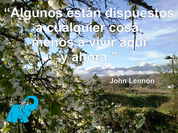 Una enseñanza de John Lennon en la frase del día del Elefante Azul de Avilés