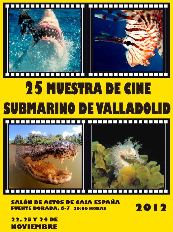 Los Centros de lavado y detallado de coches Elefante Azul de Avilés te sugieren la 25ª Muestra de Cine Submarino de Valladolid.