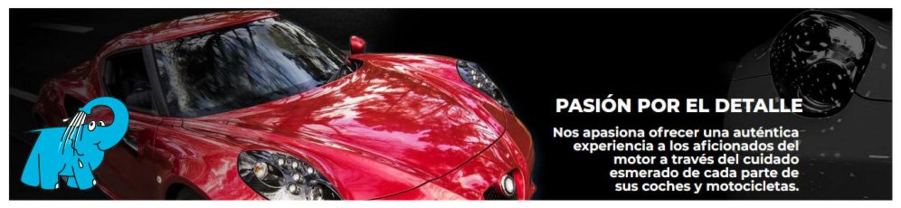 Maddox, Pasión por el Detalle. Maddox, Pasión por el Detalle.