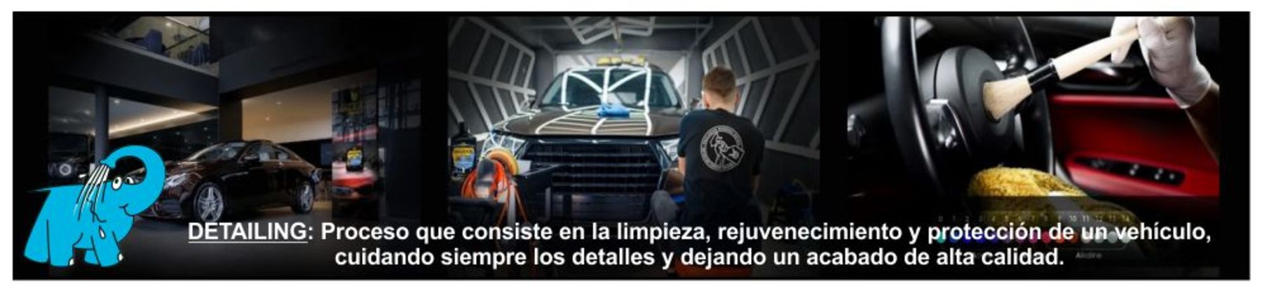 Detailing Maddox: Limpieza, rejuvenecimiento y protección del VehÃculo Detailing Maddox: Limpieza, rejuvenecimiento y protección del VehÃculo