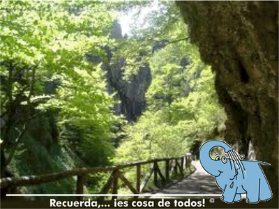 Cuando el Monte se quema, algo nuestro se quema