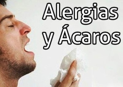 Los ácaros