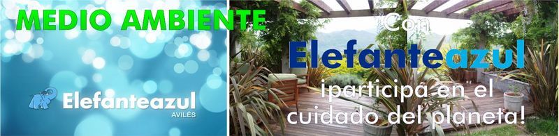 Imagen de seccin